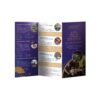 In Brochure A4 giá rẻ