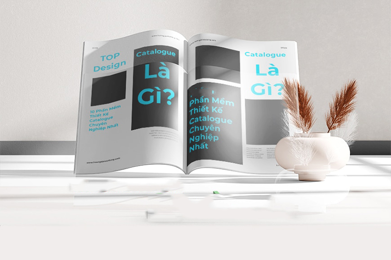 TOP 7+ Phần mềm thiết kế Catalogue đẹp & chuyên nghiệp