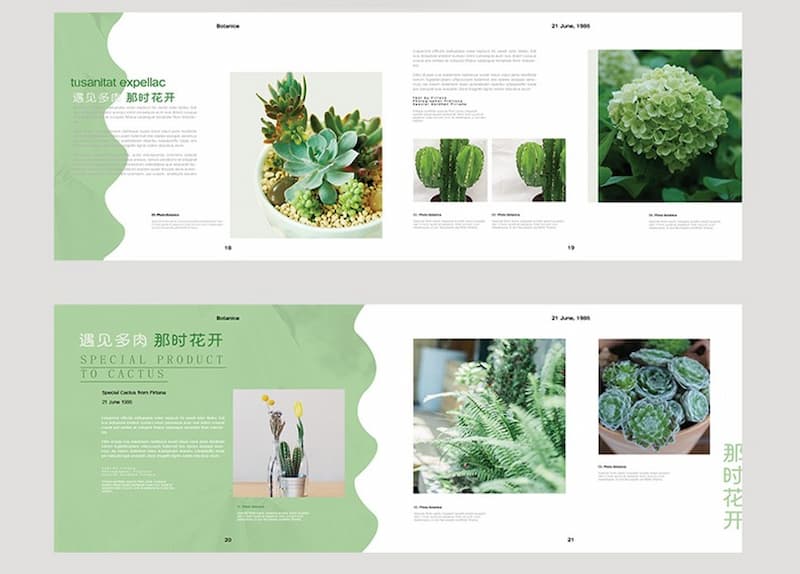 Catalogue giới thiệu cây cối