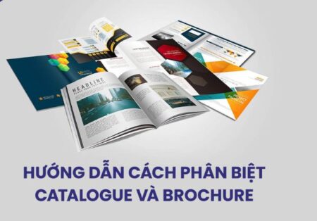 phân biệt Catalogue và Brochure