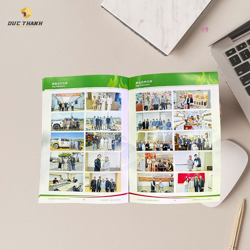 Bố cục catalogue