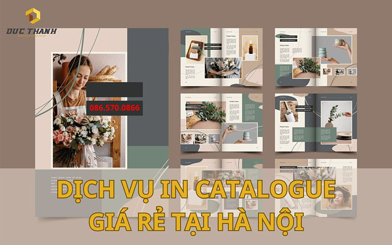 Dịch vụ in Catalogue giá rẻ tại Hà Nội
