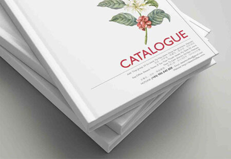 in-Catalogue-Bia-Cung