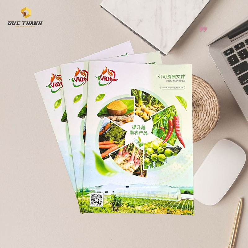 Quy cách thiết kế catalogue