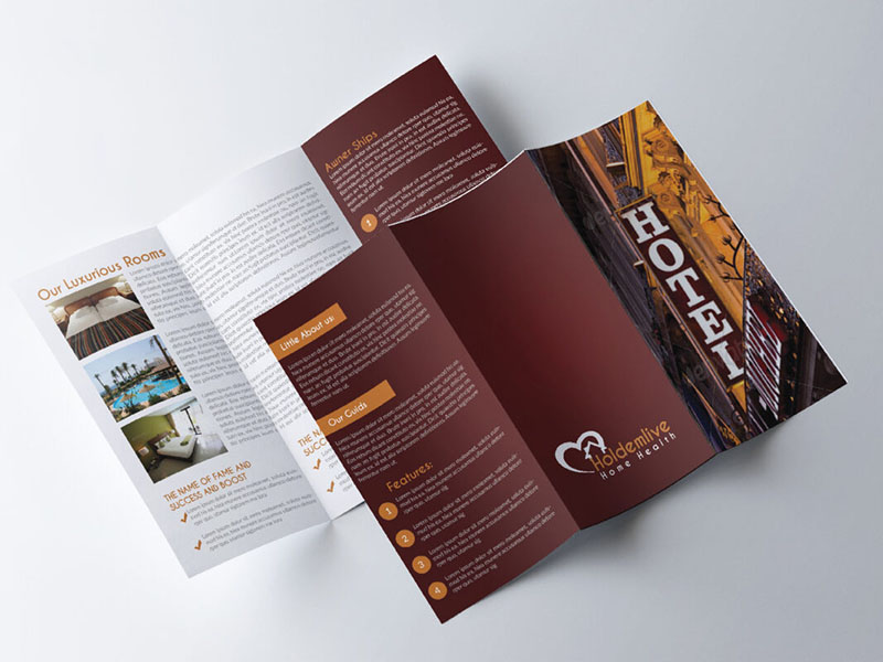 Thiết kế brochure