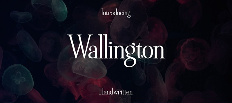 font-chu-giay-khen-Viet-hoa-dep-Wallington