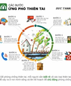 anh-img-To-roi-phong-chong-thien-tai-bao-lu