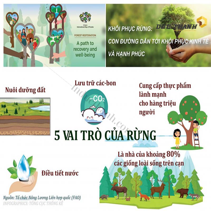 Các yếu tố cần có trong tờ rơi