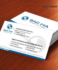 Mẫu card visit giám đốc 7