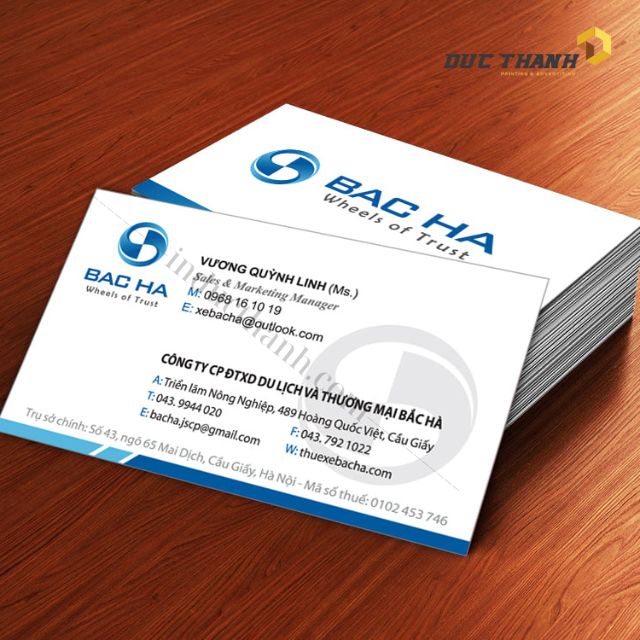 Mẫu card visit giám đốc 7