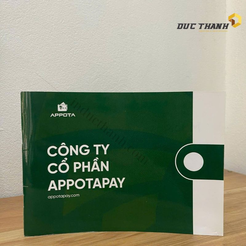 Mẫu catalogue công ty Appota