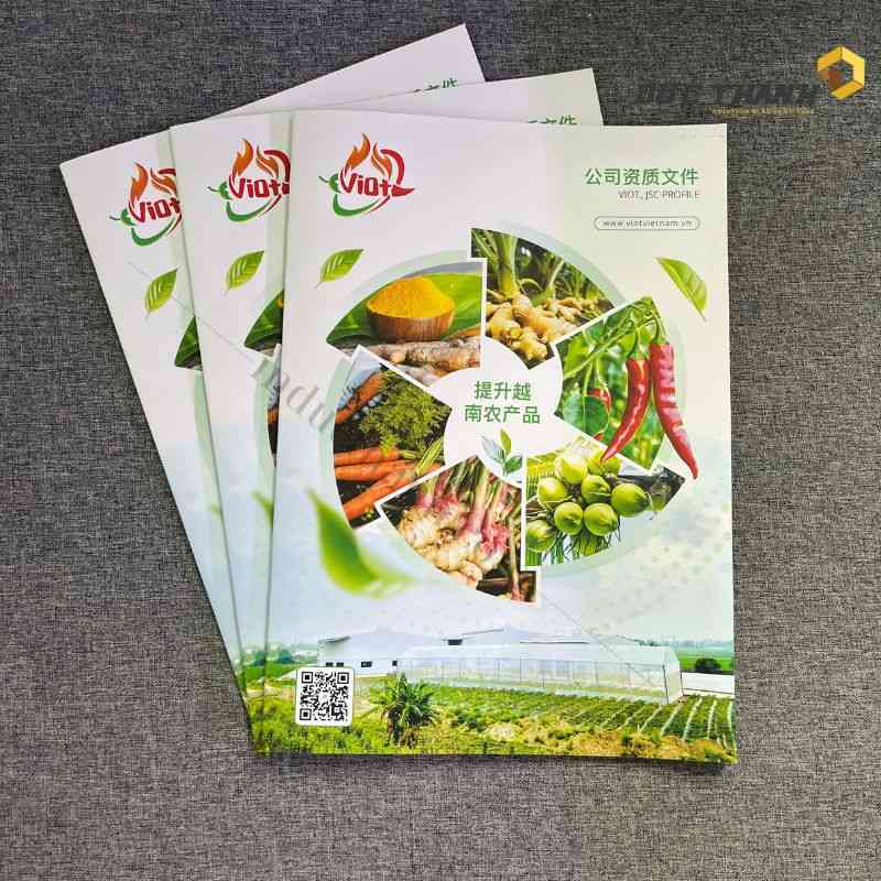 Mẫu catalogue nông sản VIOT 1