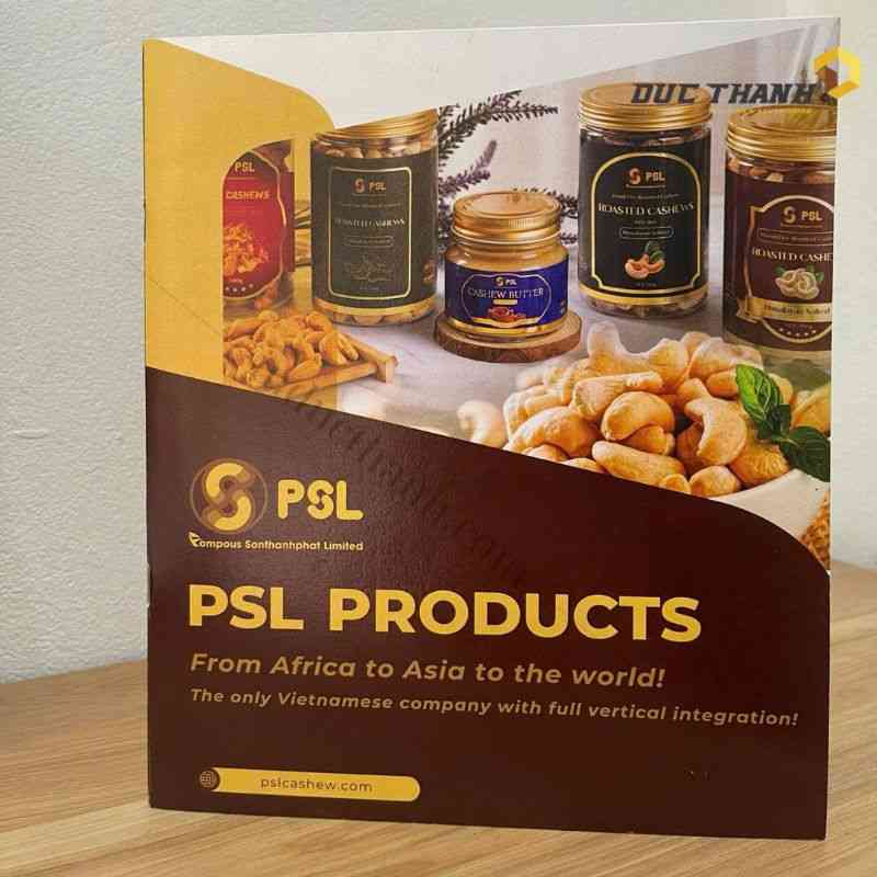 Mẫu catalogue sản phẩm PSL 1