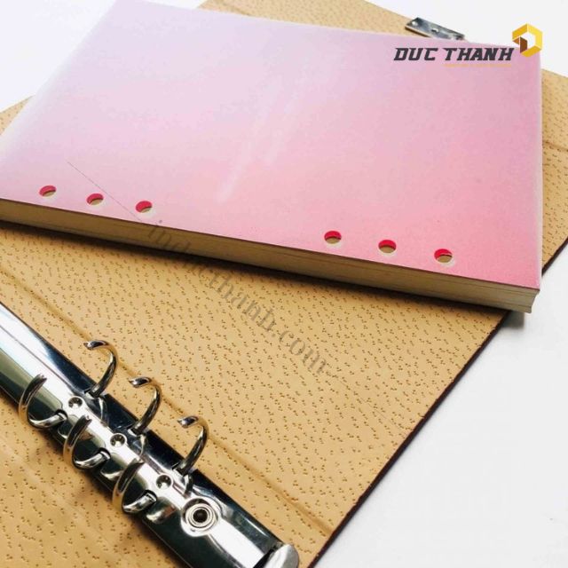 Mẫu kẹp file càng cua