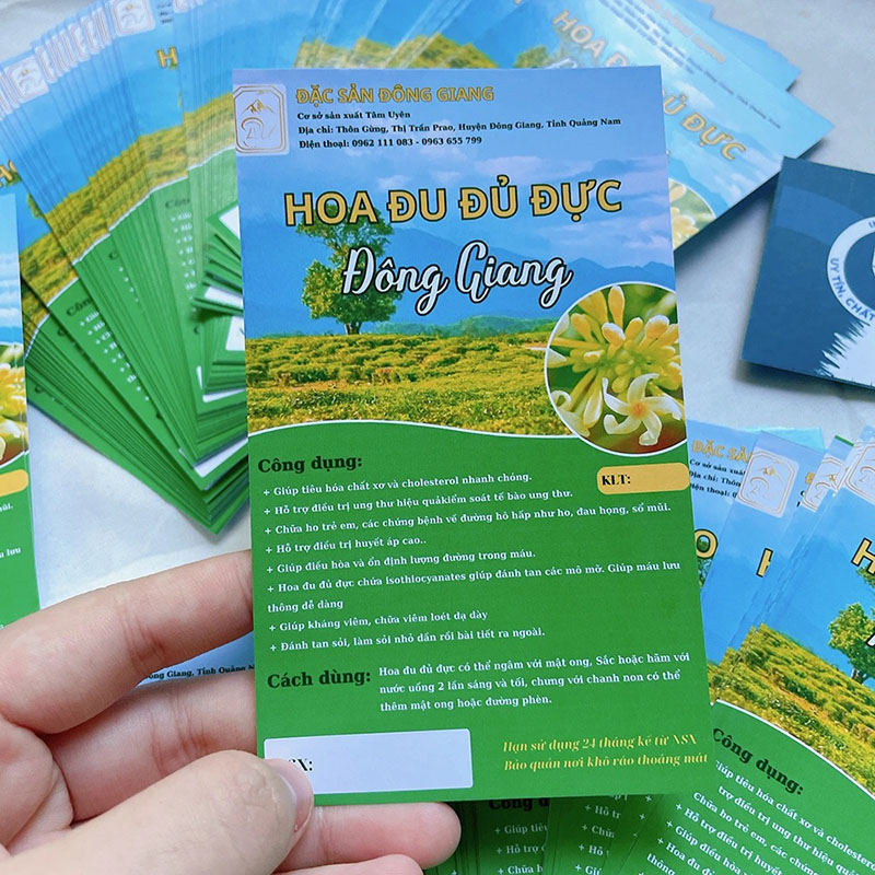 Mẫu tờ rơi A6 đẹp
