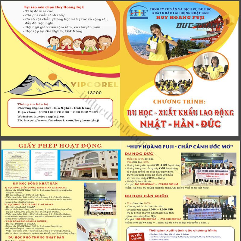 Mẫu tờ rơi du học