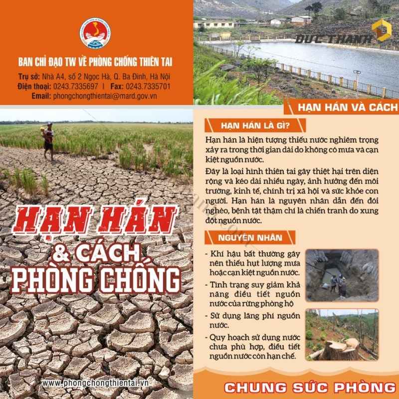 mau-to-roi-phong-chong-thien-tai-2