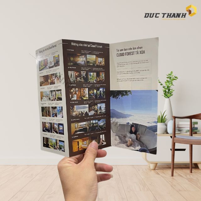 Tờ rơi quảng cáo homestay Cloud Forest