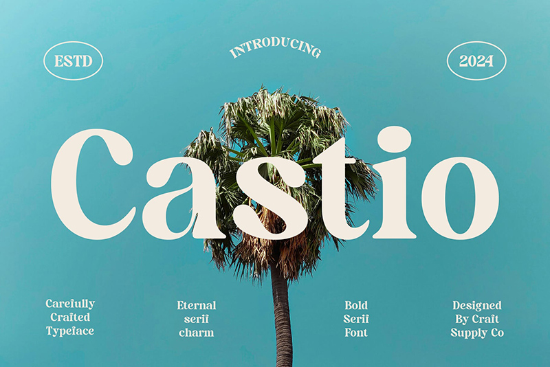 Font-chu-thiet-ke-poster-dep-Castio