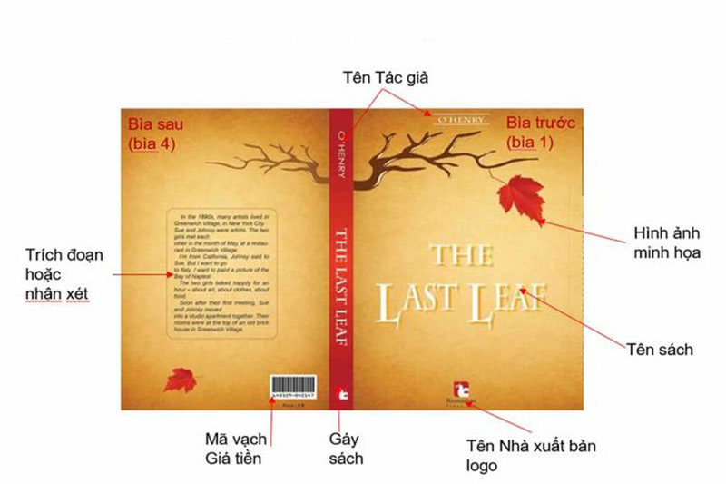 Thiết kế bìa sách