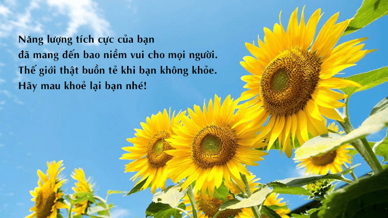 Lời động viên bạn bè khi ốm đau